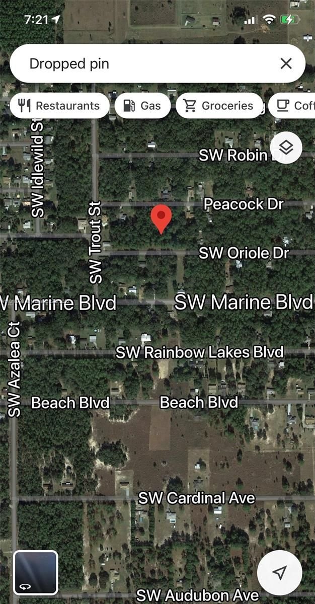 Real estate property located at 00000 Oriole, Marion County, Other City - In The State Of Florida, FL