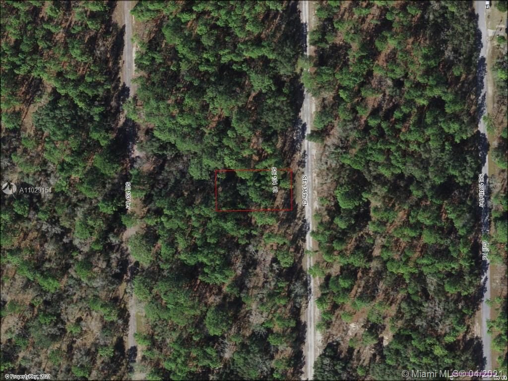 Real estate property located at Lot 12 134th Ct, Levy County, Other City - In The State Of Florida, FL