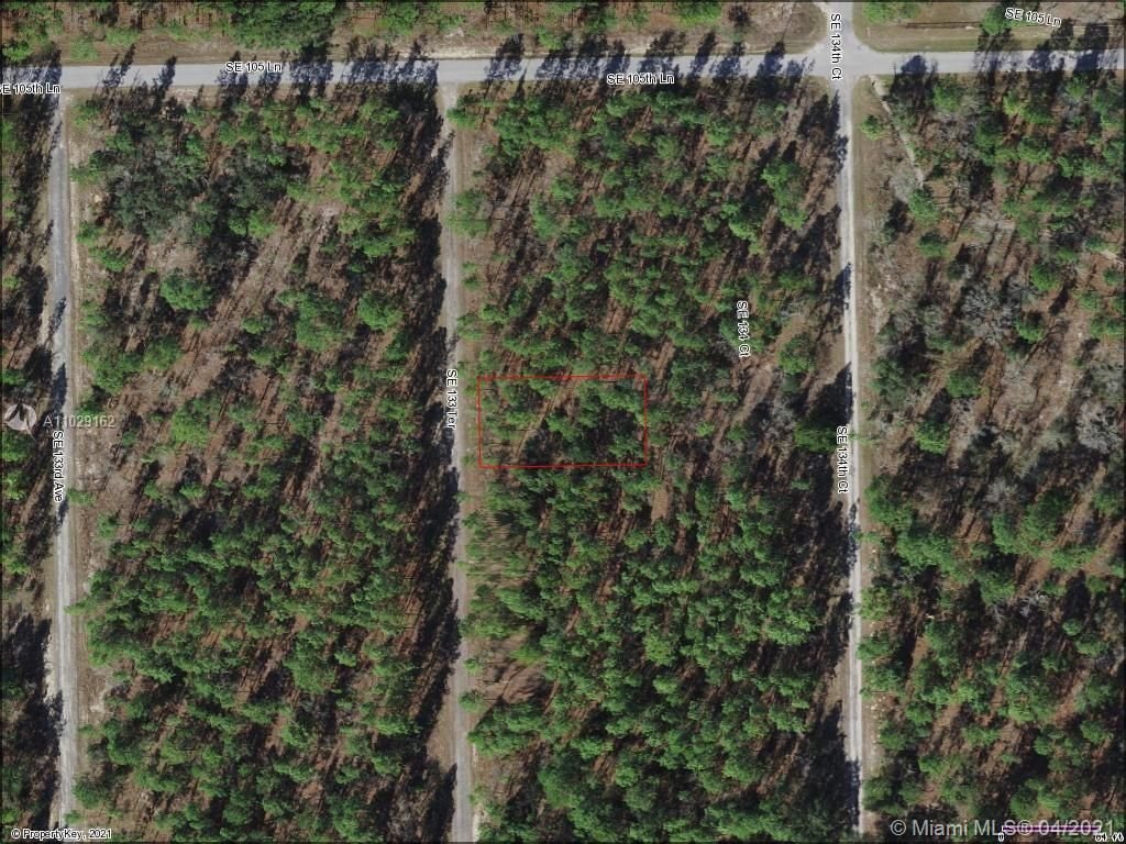 Real estate property located at Lot 63 133rd Ter, Levy County, Other City - In The State Of Florida, FL