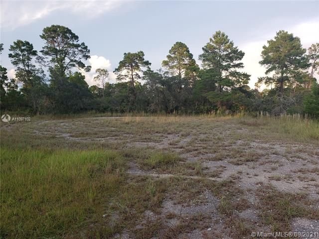 Real estate property located at 1251 Popinjay Avenue, Highlands County, Lake Placid, FL
