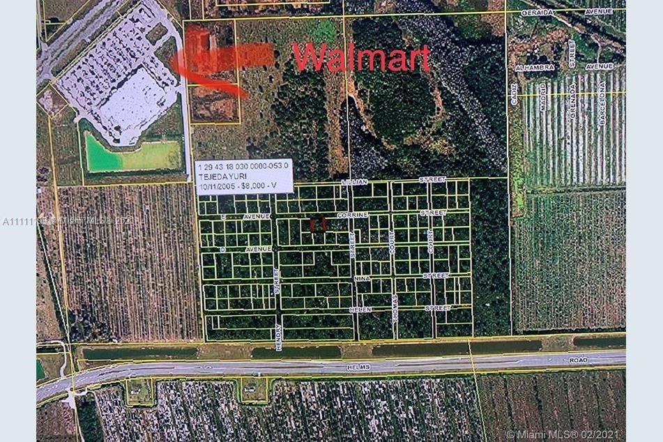 Real estate property located at E Ave Helms Road, Hendry County, La Belle, FL
