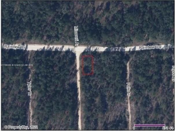 Real estate property located at 301 and 303 Rainbow Dr Hawthorne, Putnam County, Other City - In The State Of Florida, FL