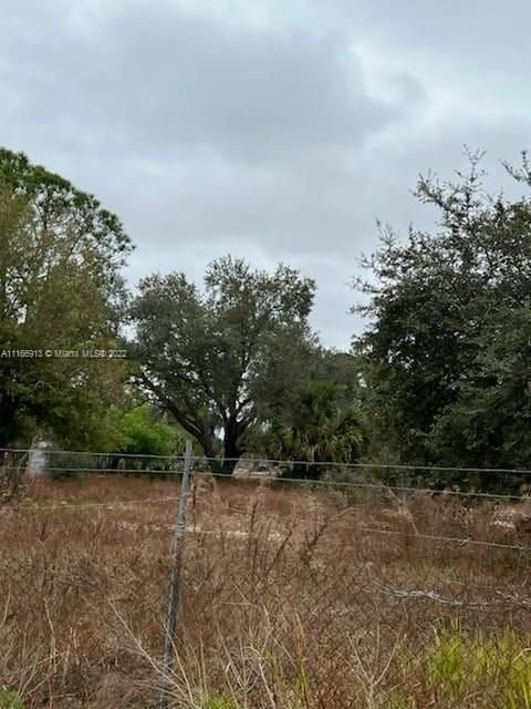 Real estate property located at 351 Avenida Del Sur, Hendry County, Other City - In The State Of Florida, FL
