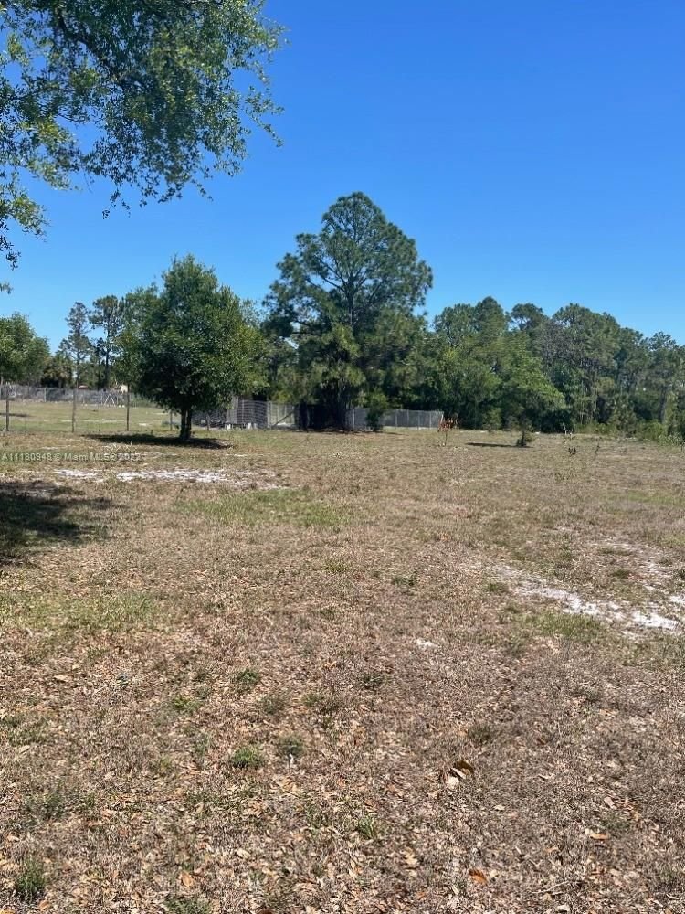 Real estate property located at 325 N Jinete St, Hendry County, Clewiston, FL