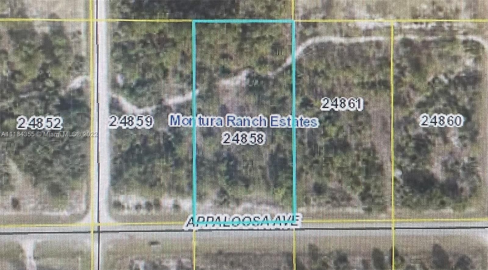 Real estate property located at 433 Appaloosa Ave, Hendry County, Clewiston, FL