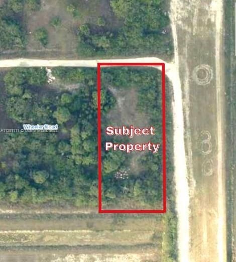 Real estate property located at 7715 Wheeler & 13th Place, Hendry County, La Belle, FL