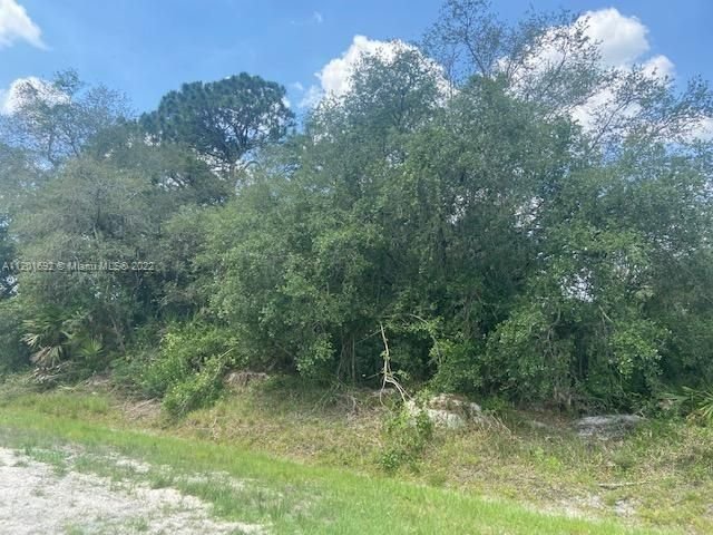 Real estate property located at 770 N Verda St, Hendry County, Clewiston, FL