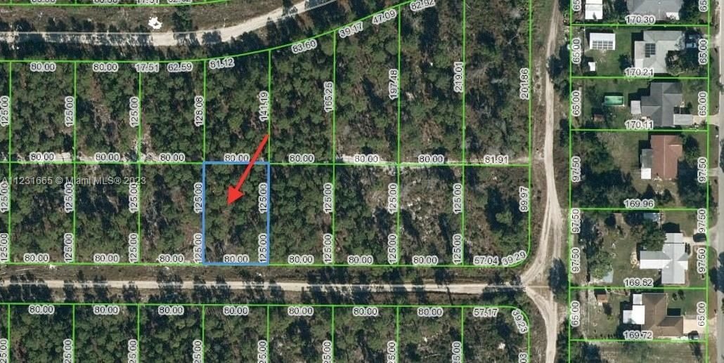 Real estate property located at 466 Hummingbird, Highlands County, Lake Placid, FL