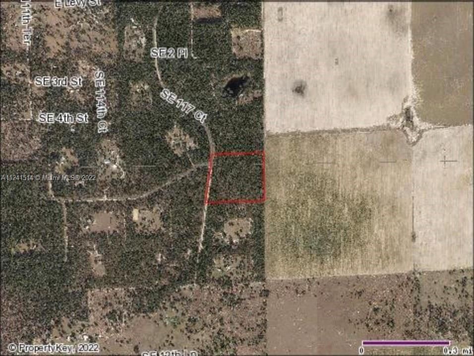 Real estate property located at 831 116th Terrace, Levy County, Williston, FL
