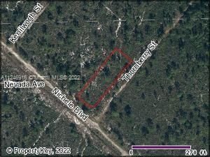 Real estate property located at 533 Nichele Blvd, Highlands County, Lake Placid, FL