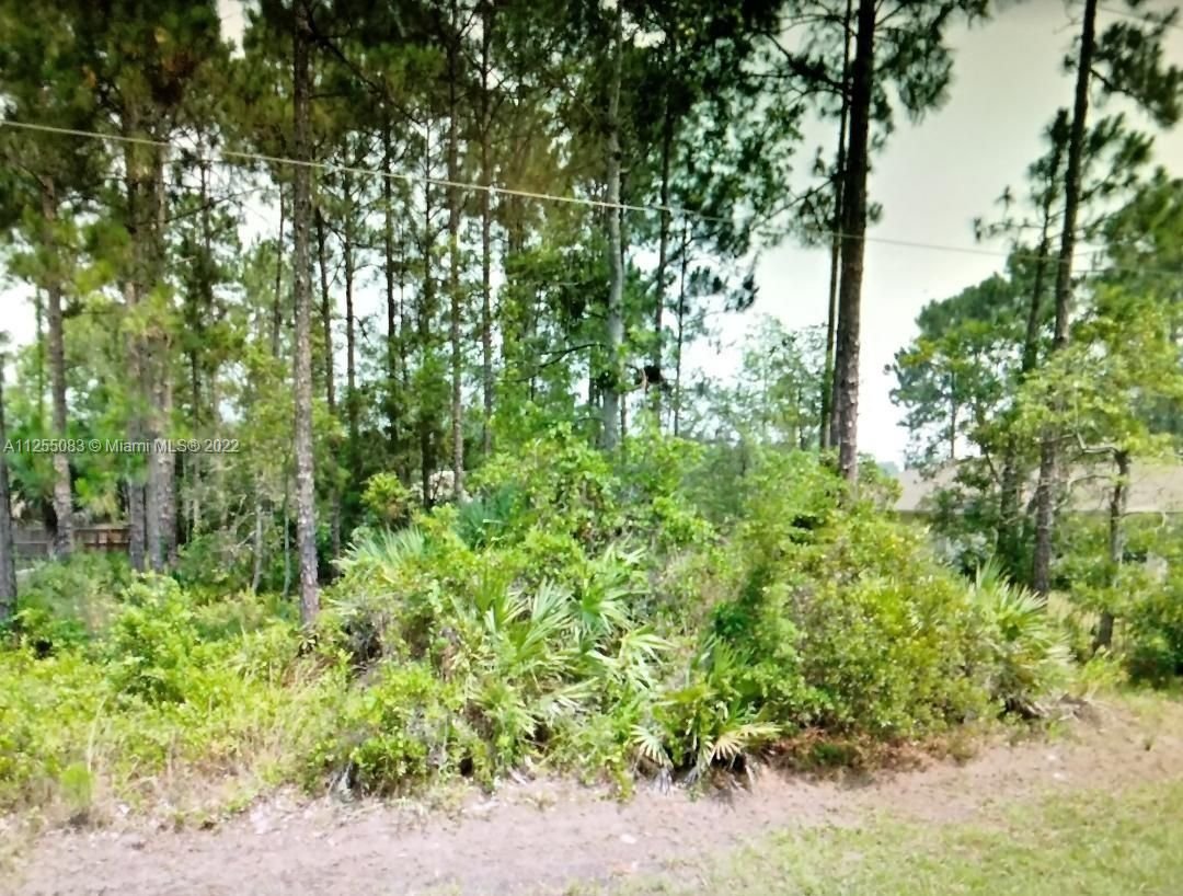 Real estate property located at 19 Beauford Ln, Flagler County, Palm Coast, FL