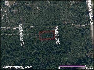Real estate property located at 650 Mckinley St, Highlands County, Lake Placid, FL