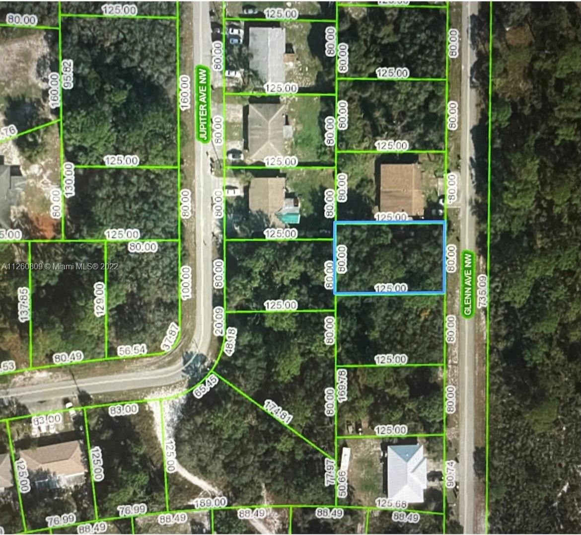Real estate property located at 117 Glenn Ave Nw, Highlands County, Lake Placid, FL