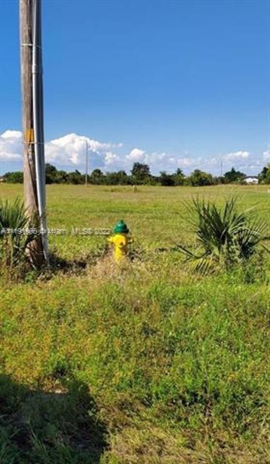 Real estate property located at 1205 Ceitus Tr, Lee County, Cape Coral, FL