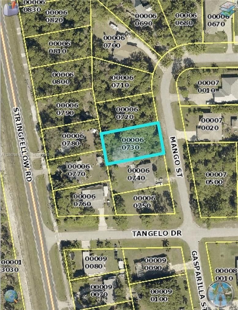 Real estate property located at 3894 Mango, Lee County, Other City - In The State Of Florida, FL