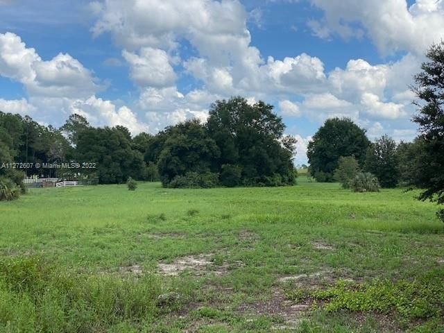Real estate property located at 24939 County Road 33, Lake County, Other City - In The State Of Florida, FL