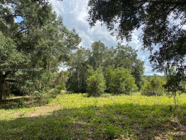 Real estate property located at 24939 County Road 33, Lake County, Other City - In The State Of Florida, FL