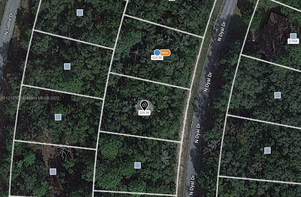 Real estate property located at 10150 Dyal, Citrus County, Inverness, FL