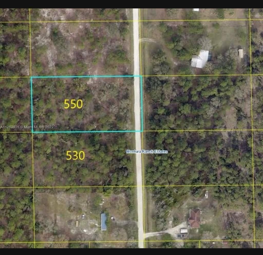 Real estate property located at 530 Trebol St, Hendry County, Clewiston, FL