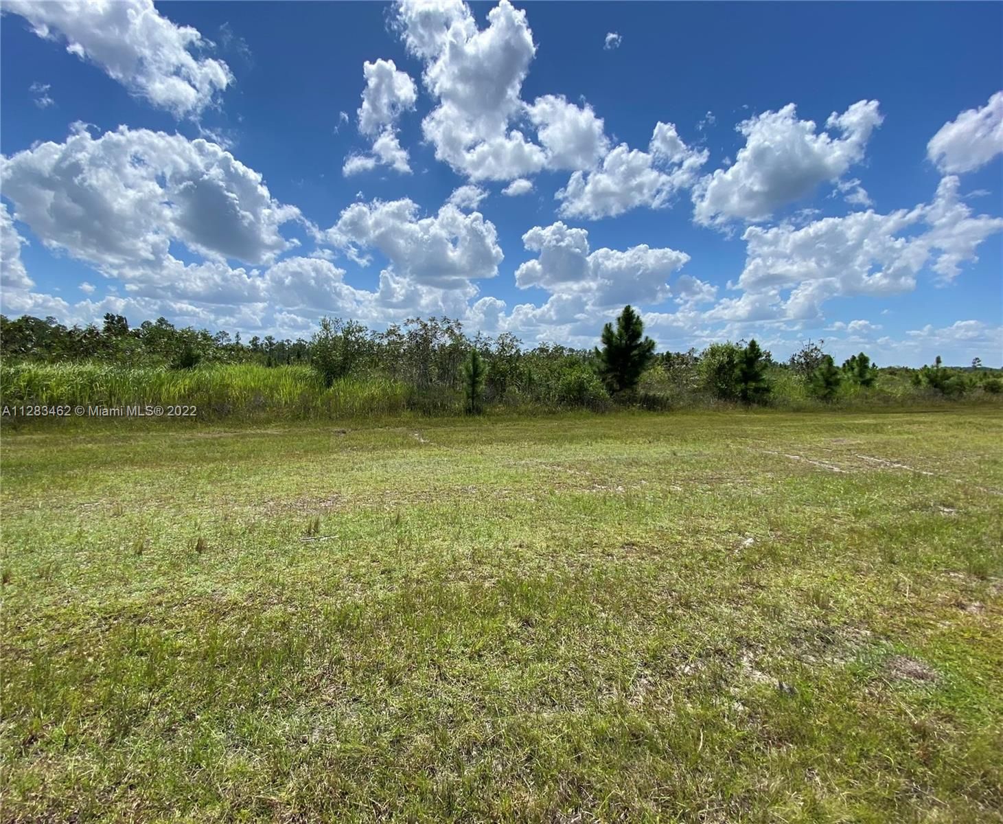Real estate property located at 311 Calendura Dr, Polk County, Other City - In The State Of Florida, FL