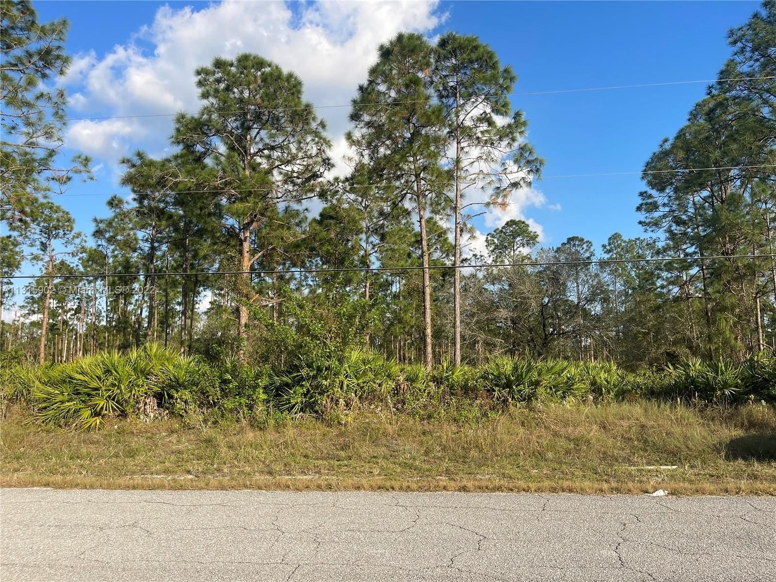 Real estate property located at 916 Louis Avenue, Lee County, Lehigh Acres, FL