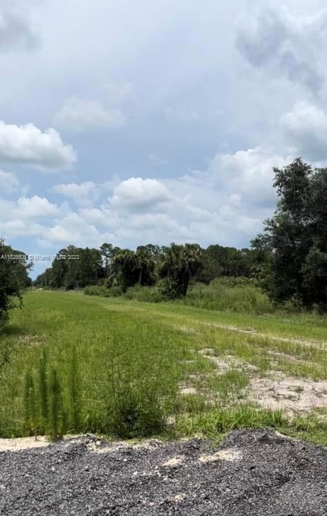 Real estate property located at 860 Lindero, Hendry County, Clewiston, FL