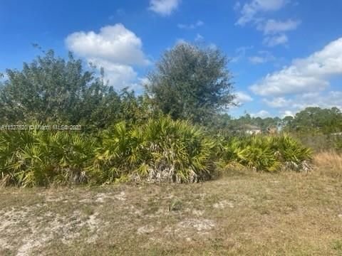Real estate property located at 815 Pine Ave, Lee County, Lehigh Acres, FL