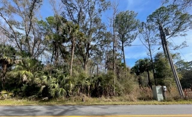 Real estate property located at 3411 S. Michigan Blvd, Citrus County, Homosassa Springs, FL