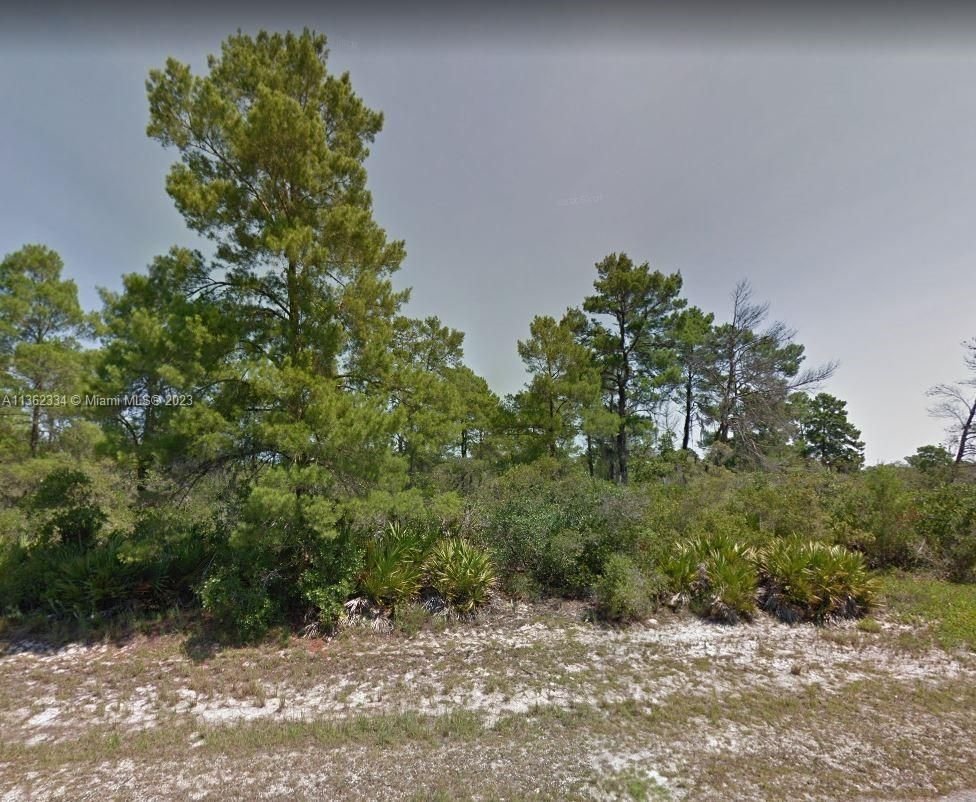 Real estate property located at XXXXX Willow Ave, Highlands County, Lake Placid, FL