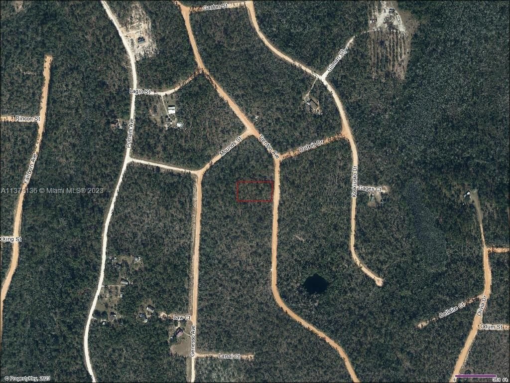 Real estate property located at Lot 19 Trenton Ave, Jackson County, Other City - In The State Of Florida, FL