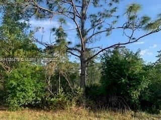 Real estate property located at 1008 Tropicana Dr., Polk County, Other City - In The State Of Florida, FL