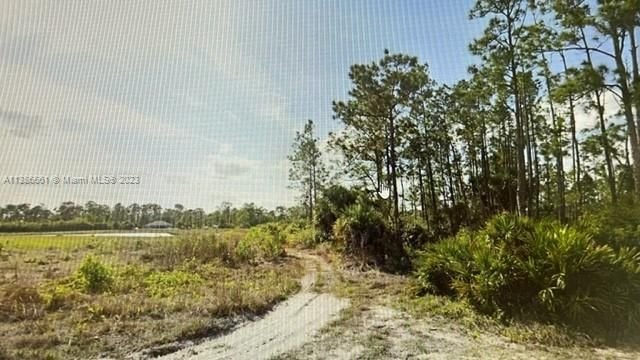 Real estate property located at 310 SELKIRK AVE, Lee County, Lehigh Acres, FL