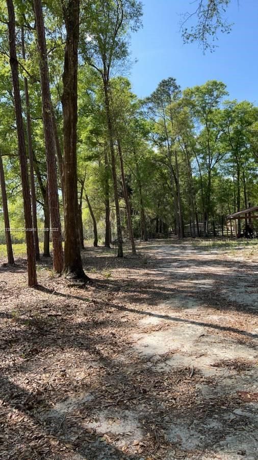 Real estate property located at 145 St, Marion County, Other City - In The State Of Florida, FL