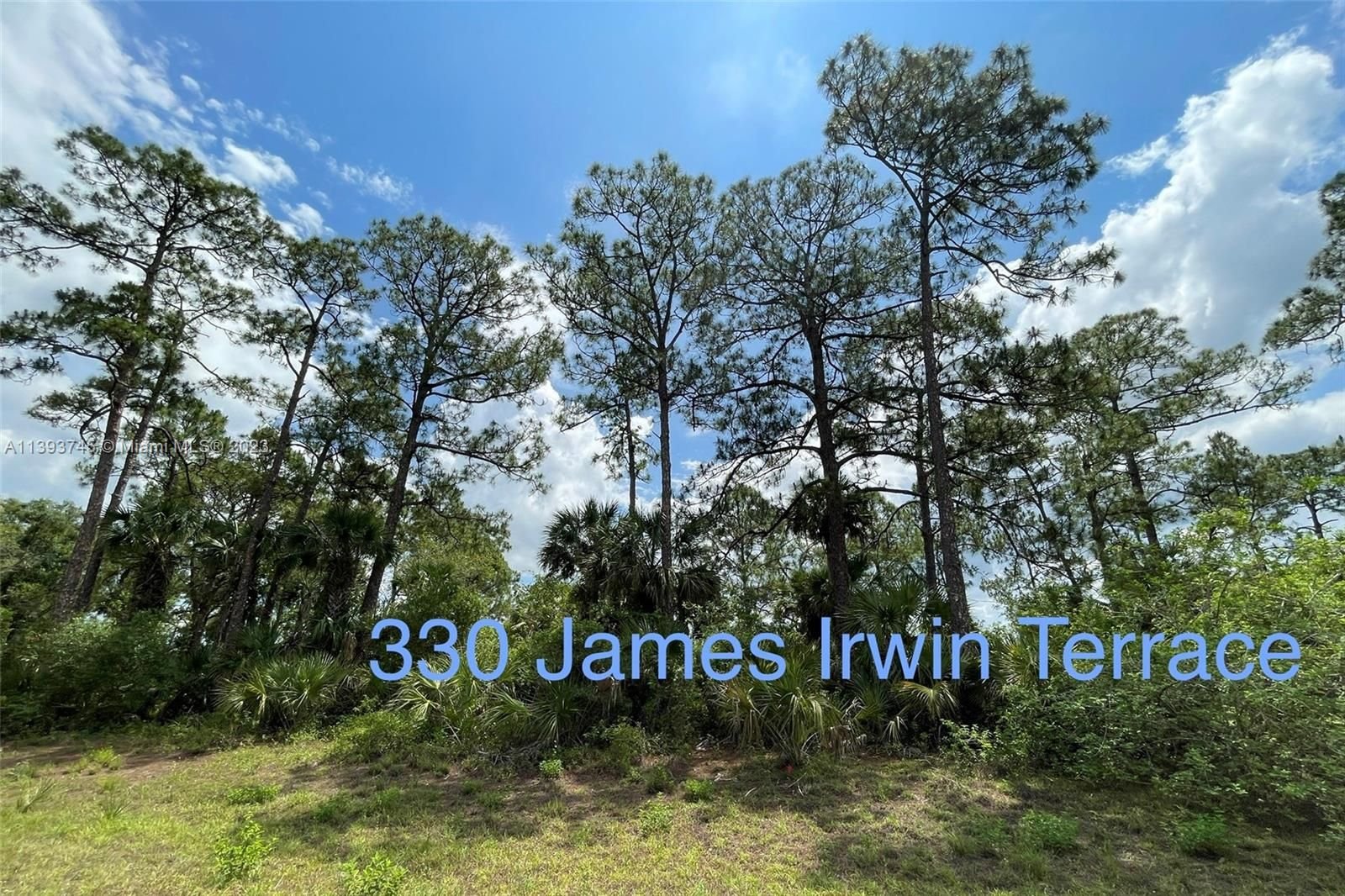 Real estate property located at 330 James Irwin Terrace, Hendry County, La Belle, FL