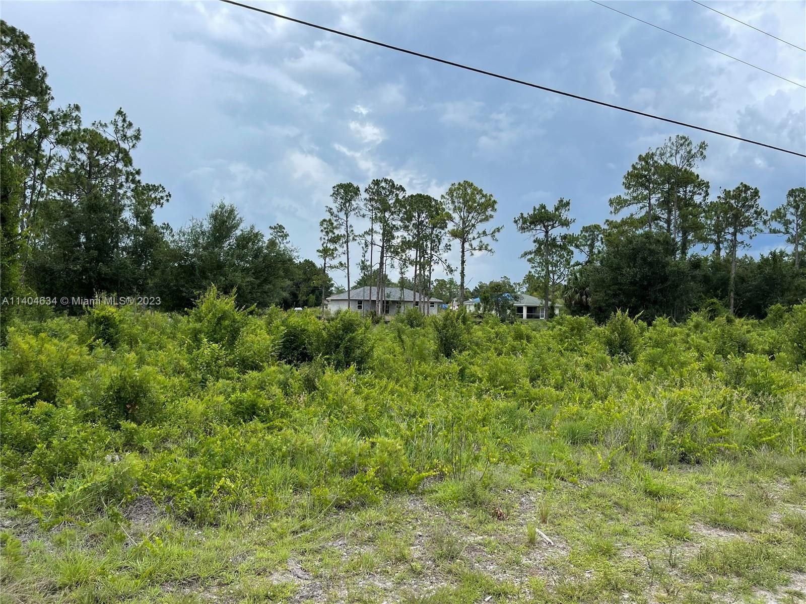 Real estate property located at 817 Cadis St E, Lee County, Lehigh Acres, FL