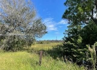Real estate property located at 2509 Christopher Lane, Hendry County, Clewiston, FL