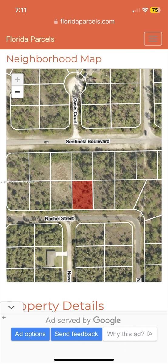 Real estate property located at 1147 Rachel Street E, Lee County, Leigh Acres, Lehigh Acres, FL