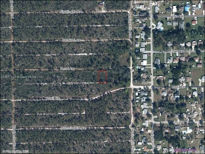 Real estate property located at 419 Parrot Ave, Highlands County, SEBRING HILLS SO UNIT 3, Sebring, FL