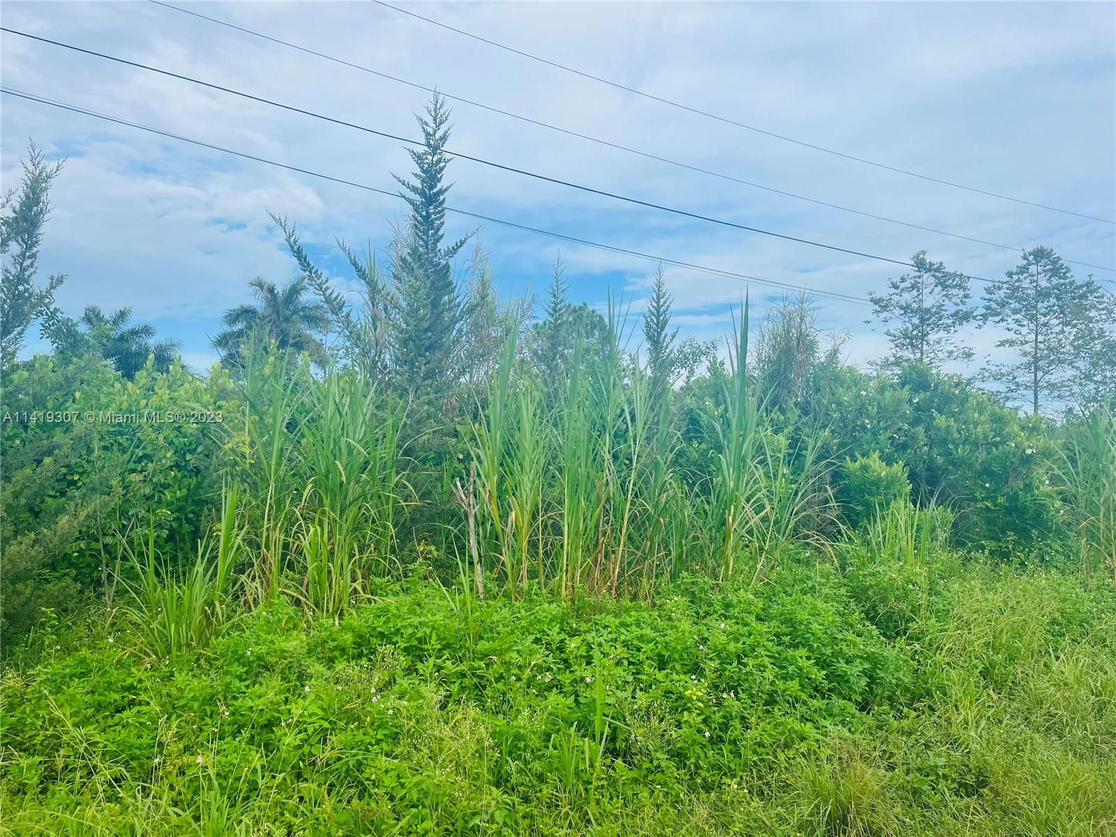 Real estate property located at 197 ave 332 St, Miami-Dade County, Unincorporated Dade County, FL