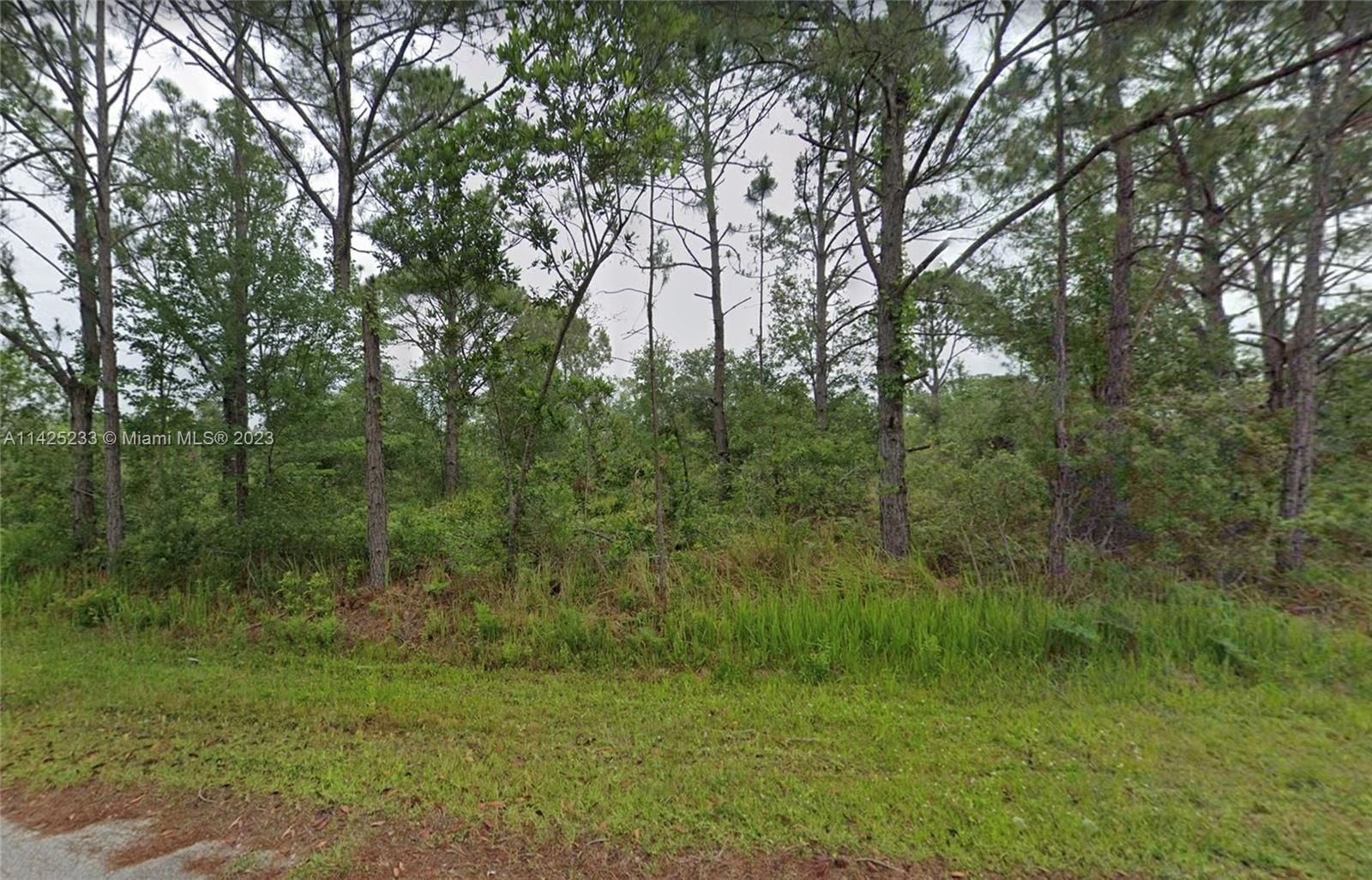 Real estate property located at 8000 TREVINO AVE, Highlands County, Sebring, FL