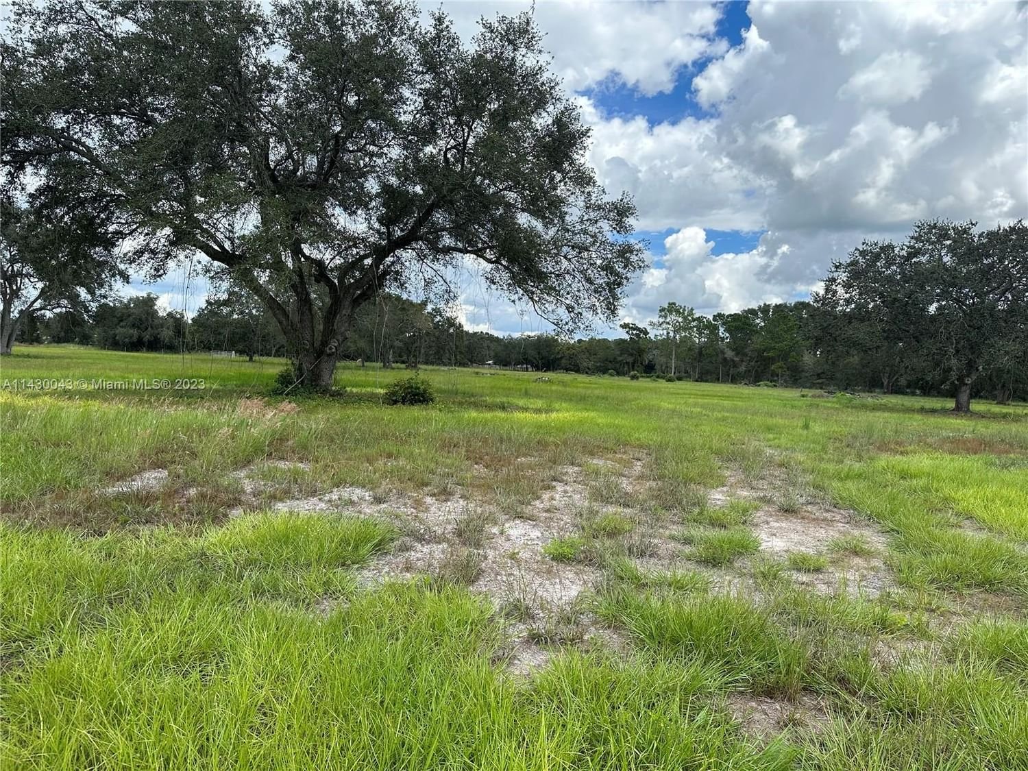 Real estate property located at 1216 144th Street, Okeechobee County, Country Hills Ranches, Okeechobee, FL