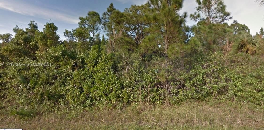 Real estate property located at 1245 Rake St E, Other Florida County, Lehigh Acres, Other City - In The State Of Florida, FL