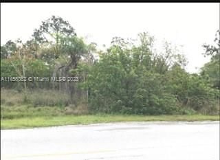 Real estate property located at 535 cabbage palm st, Hendry County, the woodland s/d, Clewiston, FL