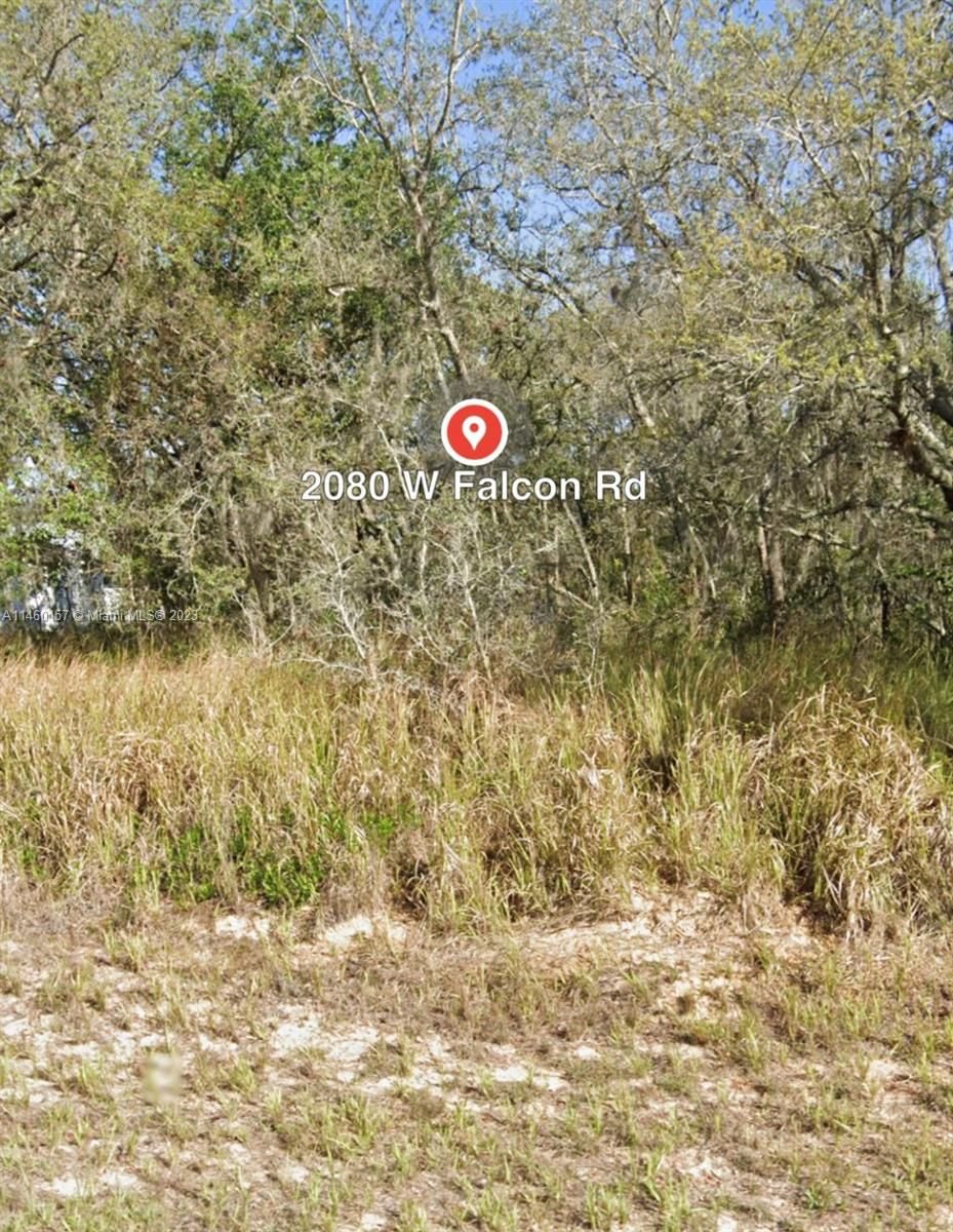 Real estate property located at 2080 W FALCON RD, Highlands County, AVON PARK LAKES, Other City - In The State Of Florida, FL
