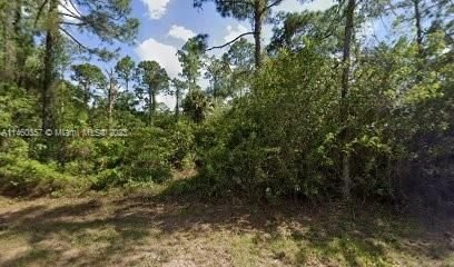 Real estate property located at 1062 Belmont Street E, Lee County, Lehigh Acres, Lehigh Acres, FL