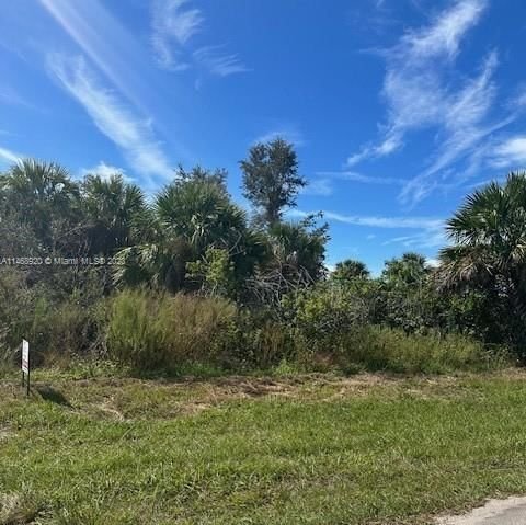 Real estate property located at 19385 VILLANOVA AVE, Other Florida County, PORT CHARLOTTE SEC 017, Other City - In The State Of Florida, FL