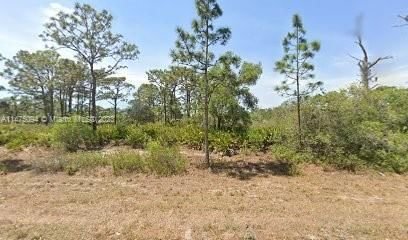 Real estate property located at 663 Hawk Avenue, Highlands County, Placid Lakes Sec 19, Lake Placid, FL