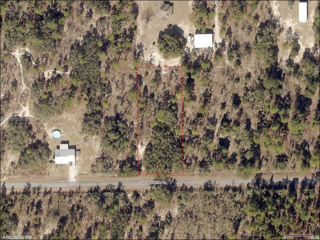Real estate property located at Lot 33 Nectarine Ln, Marion County, RAINBOW LAKES ESTATESSEC E, Other City - In The State Of Florida, FL