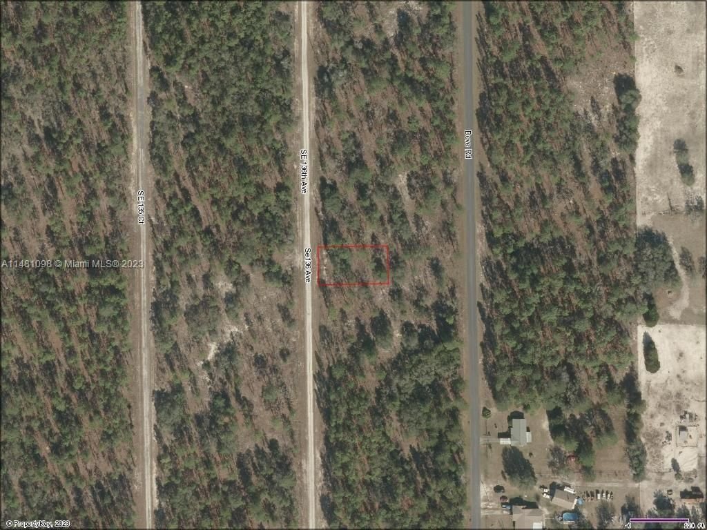 Real estate property located at Lot 44 136th Ave, Levy County, RAINBOWLAKES ESTATES SEC N, Other City - In The State Of Florida, FL