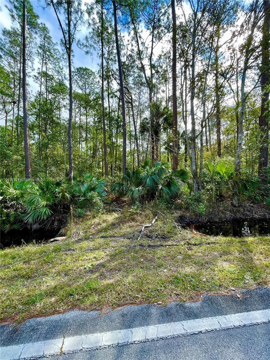 Real estate property located at N/A OLD DELAND RD, Volusia County, TOWER GARDENS, Daytona, FL